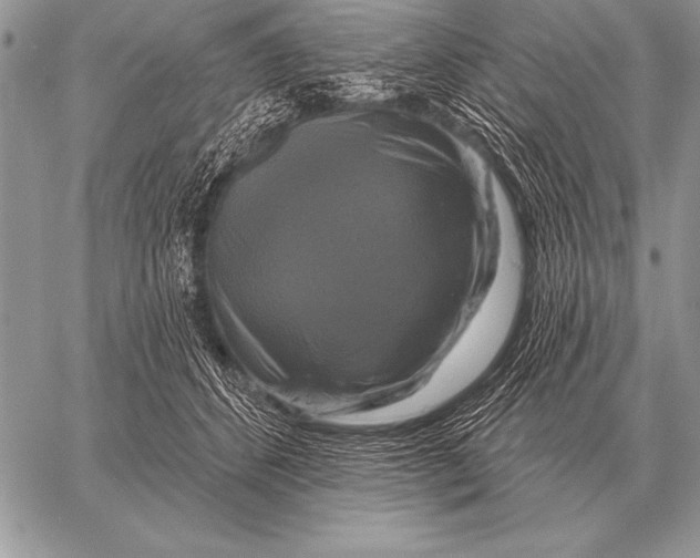X0000058140512200510171405