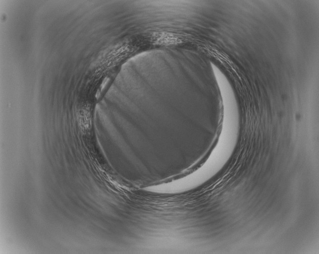 X0000058140517200510171405