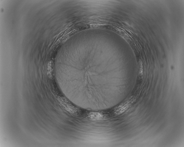 X0000058140519200510171405