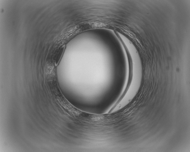 X0000058140521200510171405