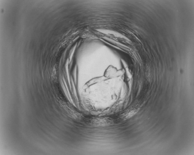 X0000058140523200510171405