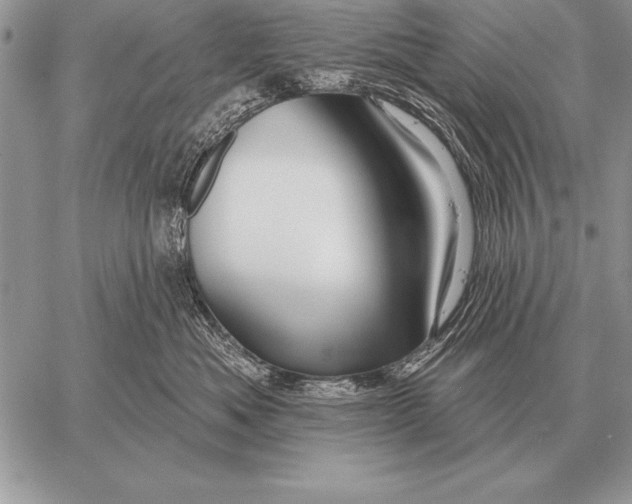X0000058140525200510171405