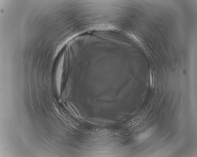 X0000058140531200510171404