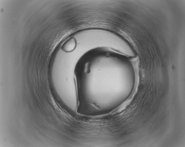 X0000058140534200510171404