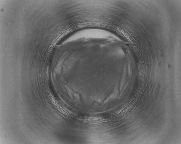 X0000058140542200510171405