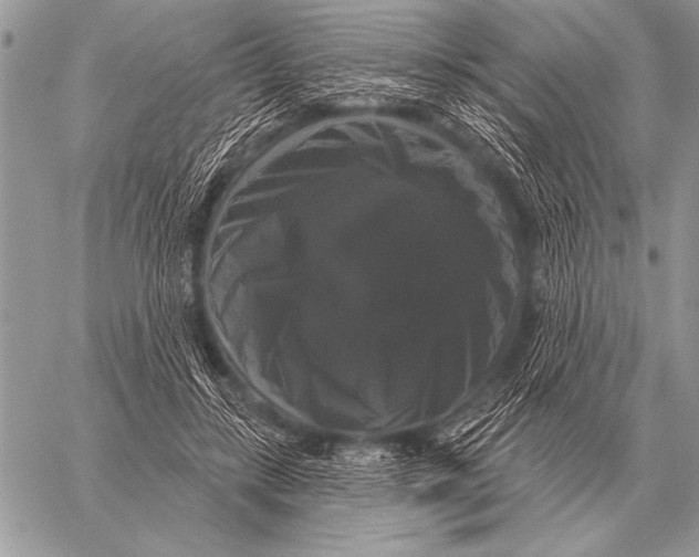 X0000058140547200510171405