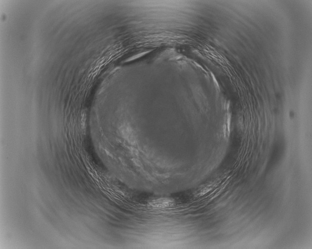 X0000058140551200510171405