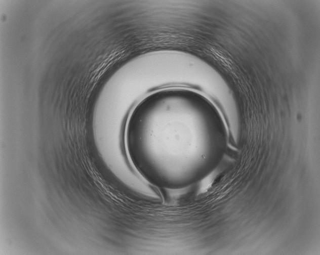 X0000058140552200510171405