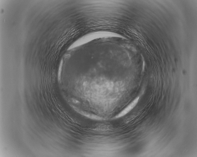 X0000058140555200510171405