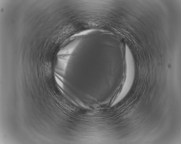 X0000058140563200510171405