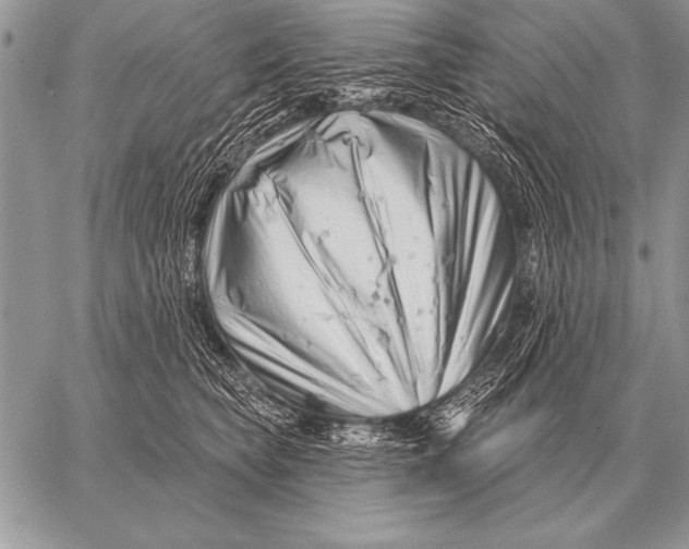 X0000058140565200510171405
