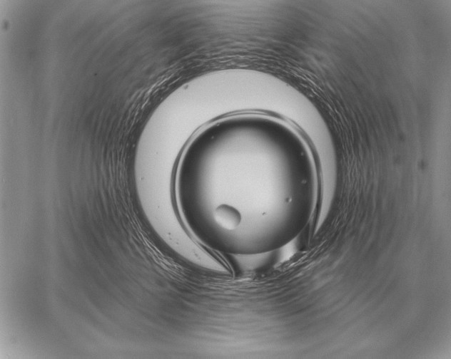 X0000058140570200510171405