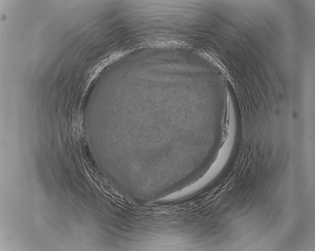 X0000058140579200510171404