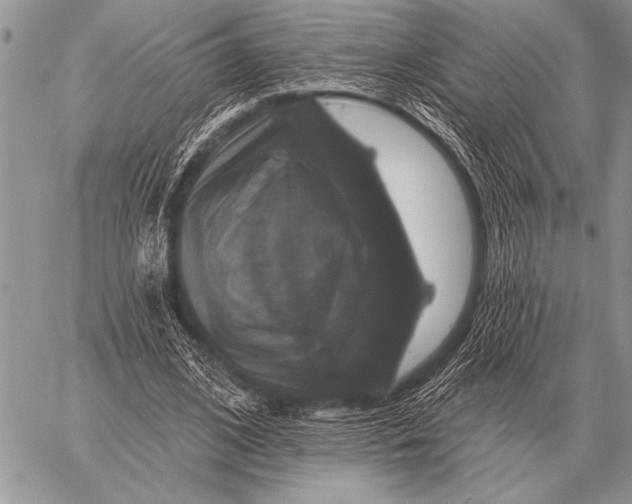 X0000058140584200510171404