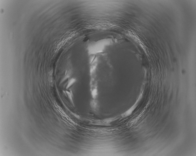 X0000058140585200510171404