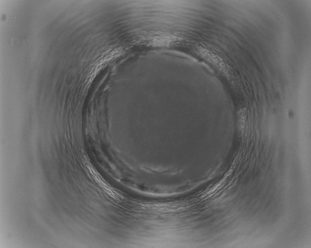 X0000058140589200510171404