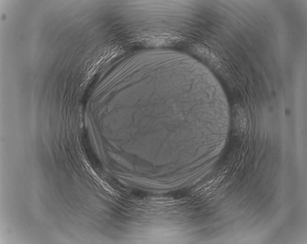 X0000058140590200510171404