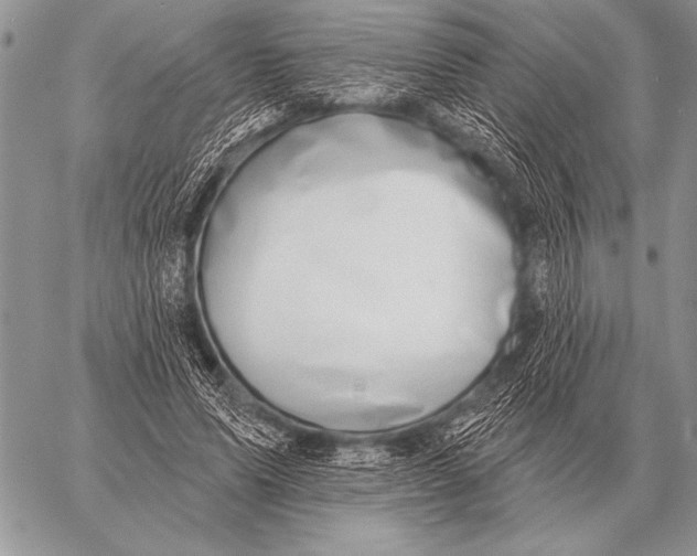 X0000058140591200510171404