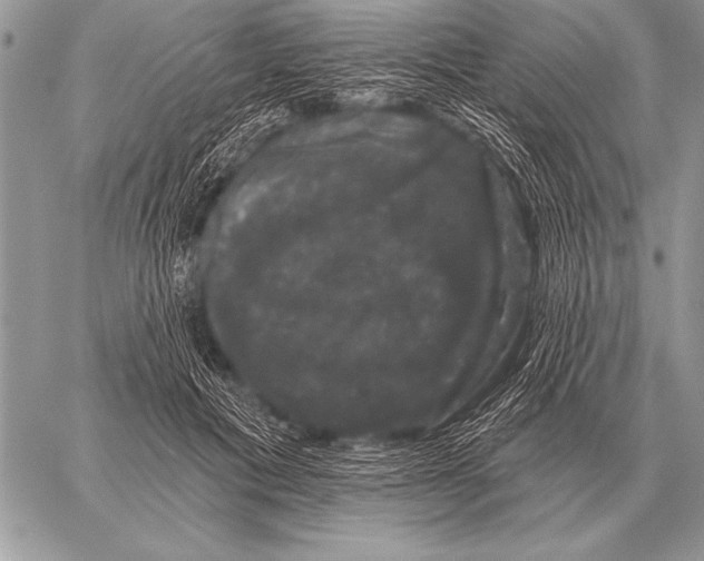 X0000058140601200510171404