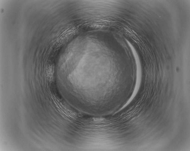 X0000058140605200510171404