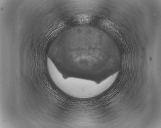 X0000058140608200510171404