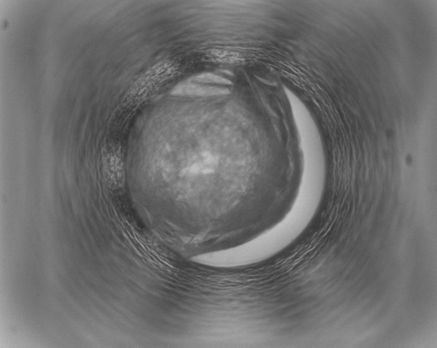 X0000058140609200510171404