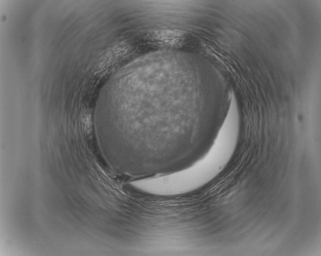 X0000058140613200510171404