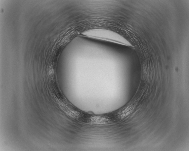 X0000058140614200510171404