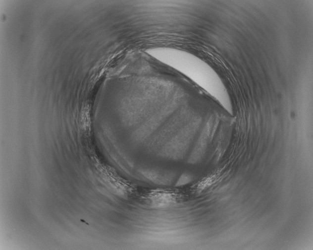 X0000058140620200510171404