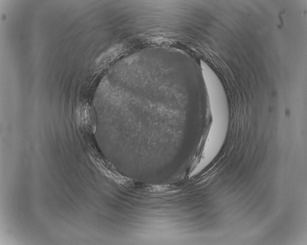 X0000058140623200510171404