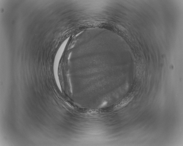 X0000058140624200510171404