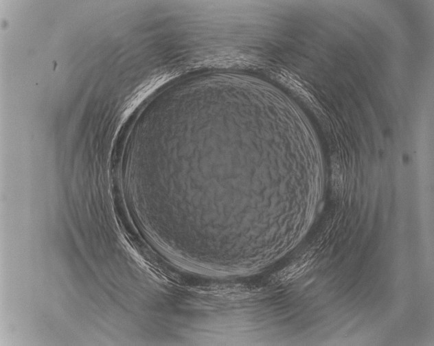 X0000058140626200510171403
