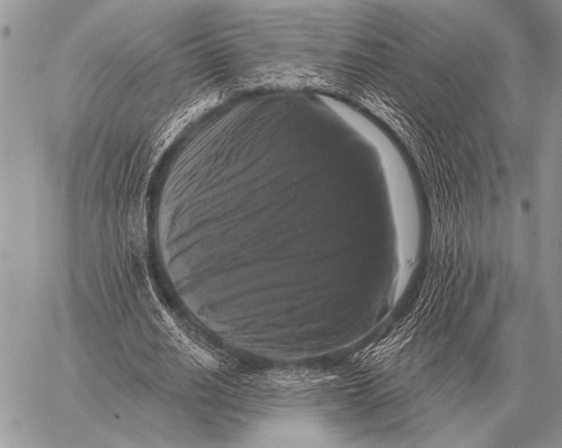 X0000058140630200510171403