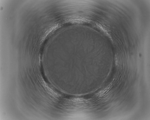 X0000058140637200510171403