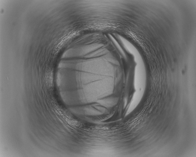 X0000058140640200510171403