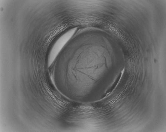 X0000058140644200510171403