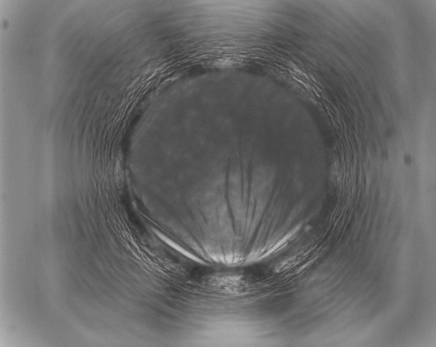 X0000058140651200510171403