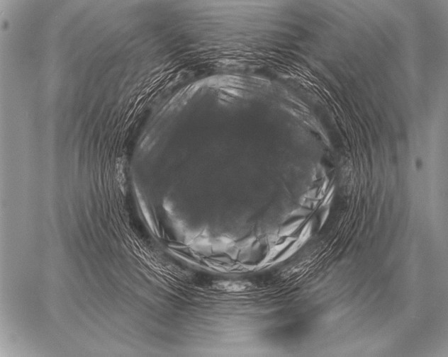 X0000058140654200510171403