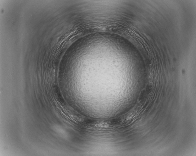X0000058140656200510171403
