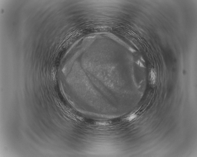 X0000058140662200510171403