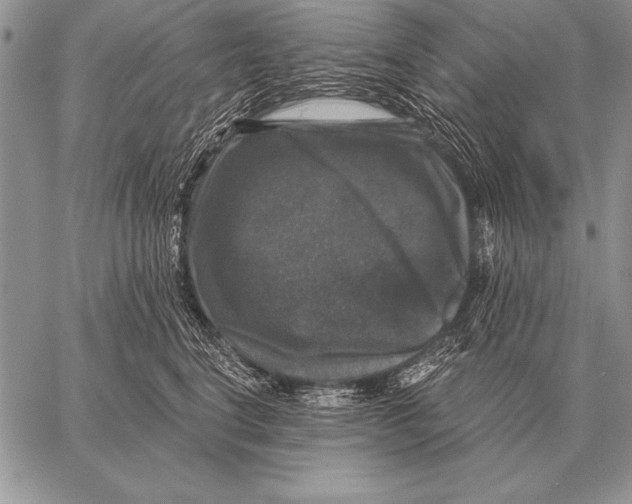 X0000058140664200510171403