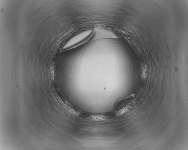 X0000058140666200510171403