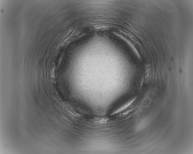 X0000058140667200510171403