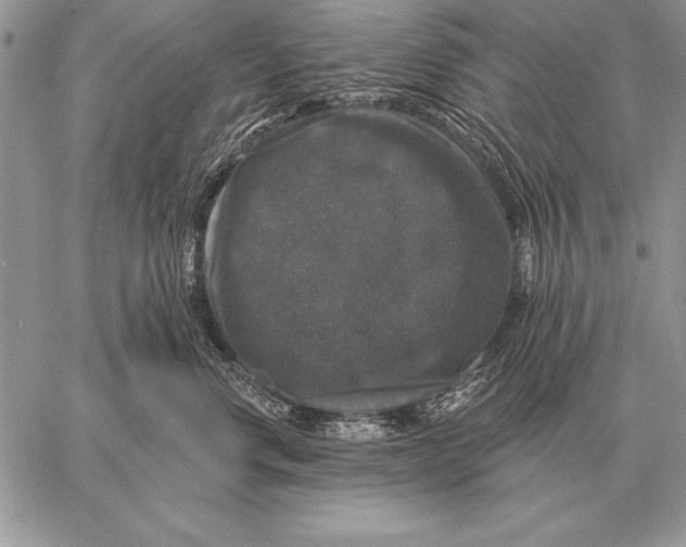 X0000058140668200510171404
