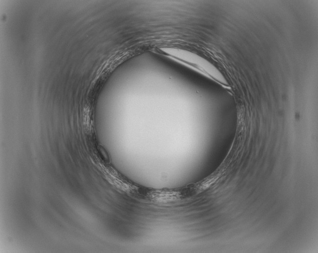 X0000058140670200510171404