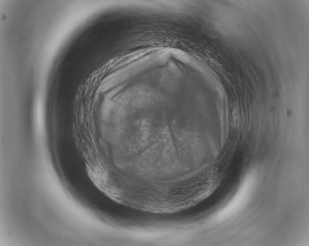 X0000058140671200510171404