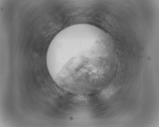 X0000058140672200510171404