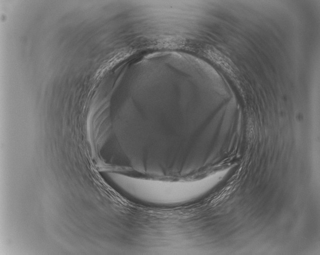 X0000058140673200510171403