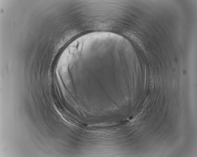 X0000058140674200510171403