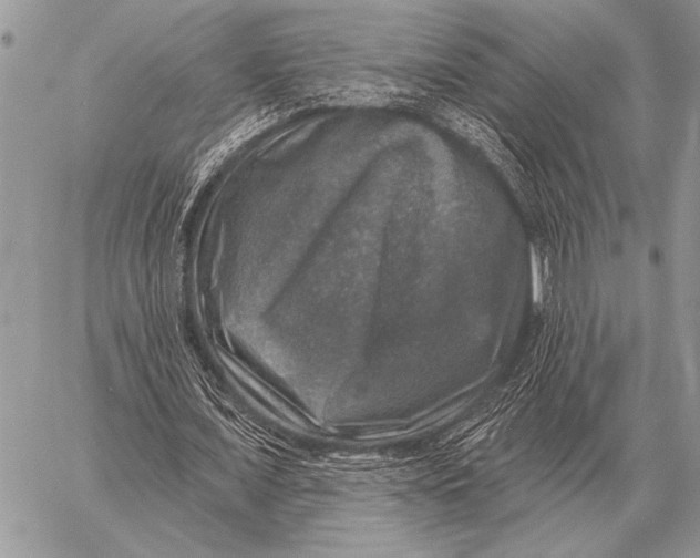 X0000058140675200510171403